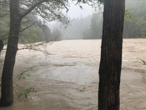 flooding Eel River north of Leggett