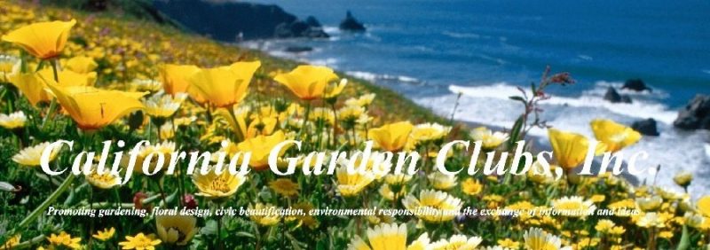 Southern Humboldt Garden Club Hosting 67th Annual Flower Show On