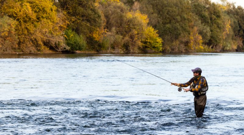 september-1-is-a-free-fishing-day-in-california-redheaded-blackbelt