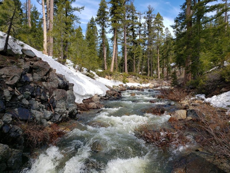 Trinity River Flows to Peak Today–Be Careful – Redheaded Blackbelt