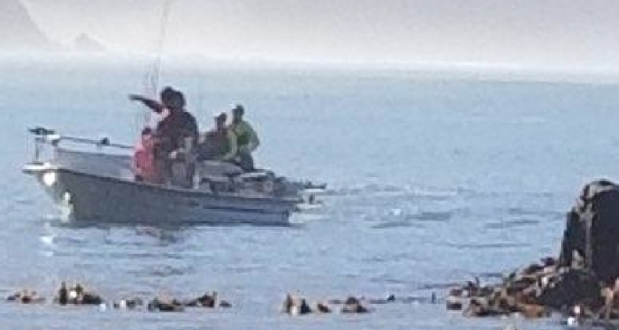 Kayaker Relates Details Of Terrifying Shark Attack In Shelter Cove This Morning Redheaded Blackbelt