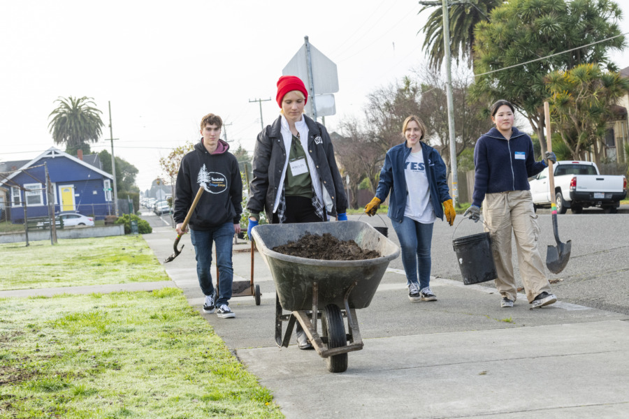 Cal Poly Humboldt Participates In MLK Day Of Service Redheaded Blackbelt