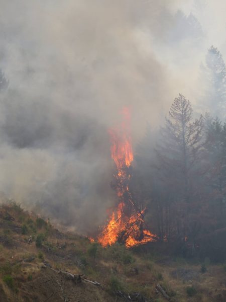 From the Frontlines of the Humboldt Fires - Redheaded Blackbelt