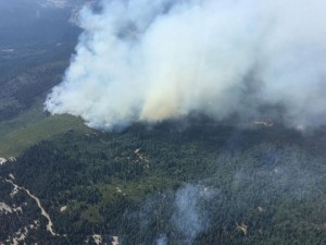 From The Frontlines Of The Humboldt Fires - Redheaded Blackbelt