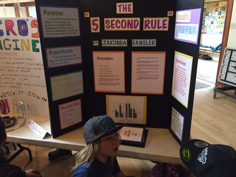 5 Second Rule Science Fair Project Printable