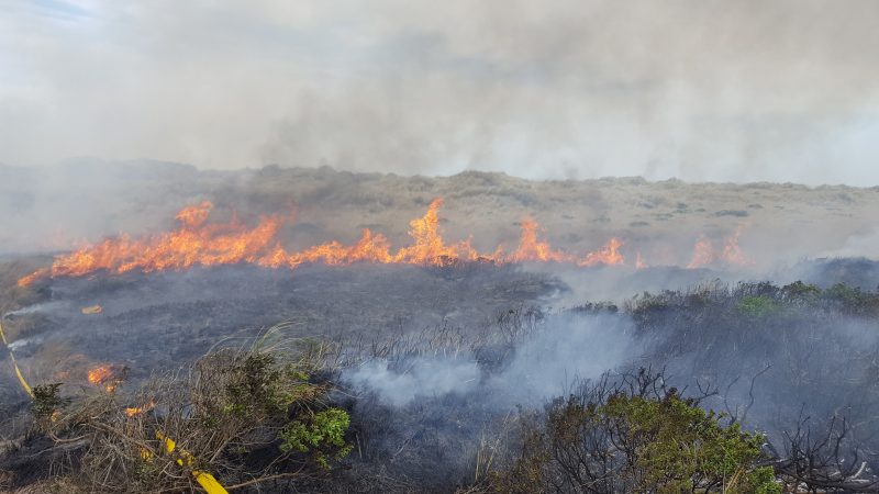 [UPDATE 6:25 p.m.] Possible Multiple Acre Vegetation Fire Near Table ...