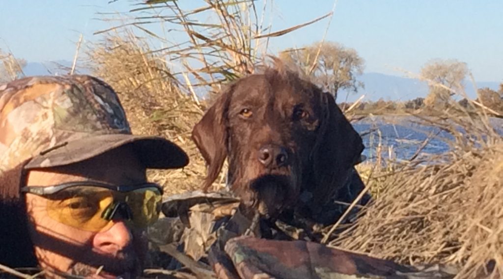 Waterfowl Hunting Season Open In Northeastern California Zone; Opens ...