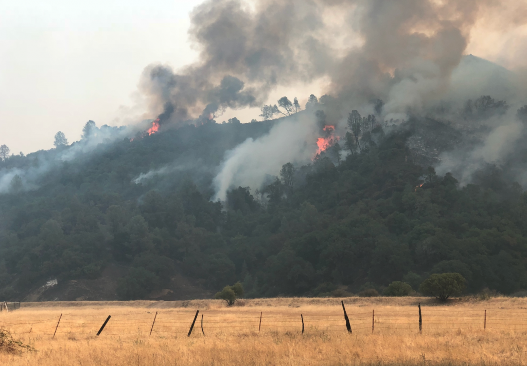 Fighting Flames, Saving Houses, Feeding Pigs…It’s All in the Job ...