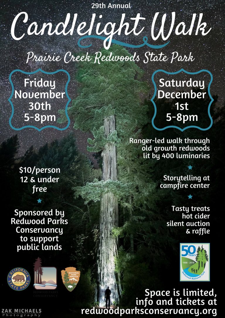 Tickets on Sale for Annual Candlelight Walk at Redwood National and