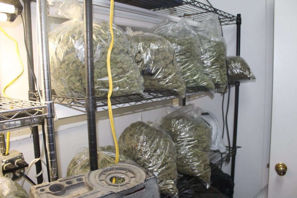 10000 pounds of weed