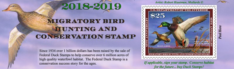 Entries to CDFW California Duck Stamp Art Contest Due May 27