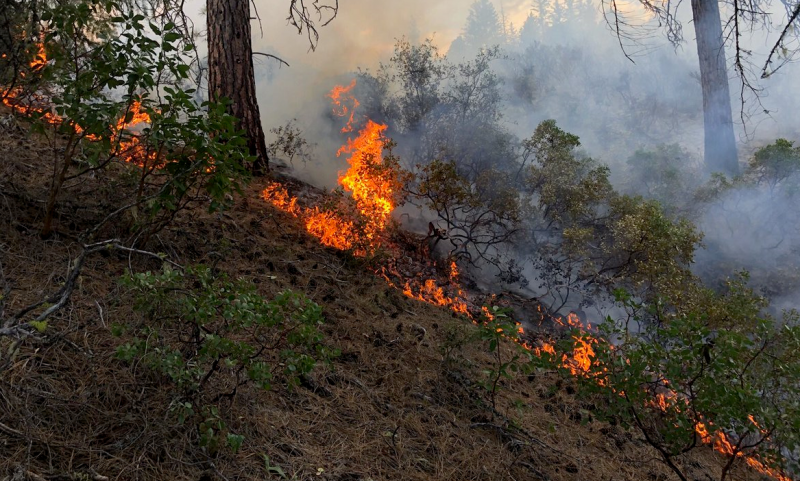 16 Lightning Strikes and Three Wildfires Near Hayfork Yesterday ...