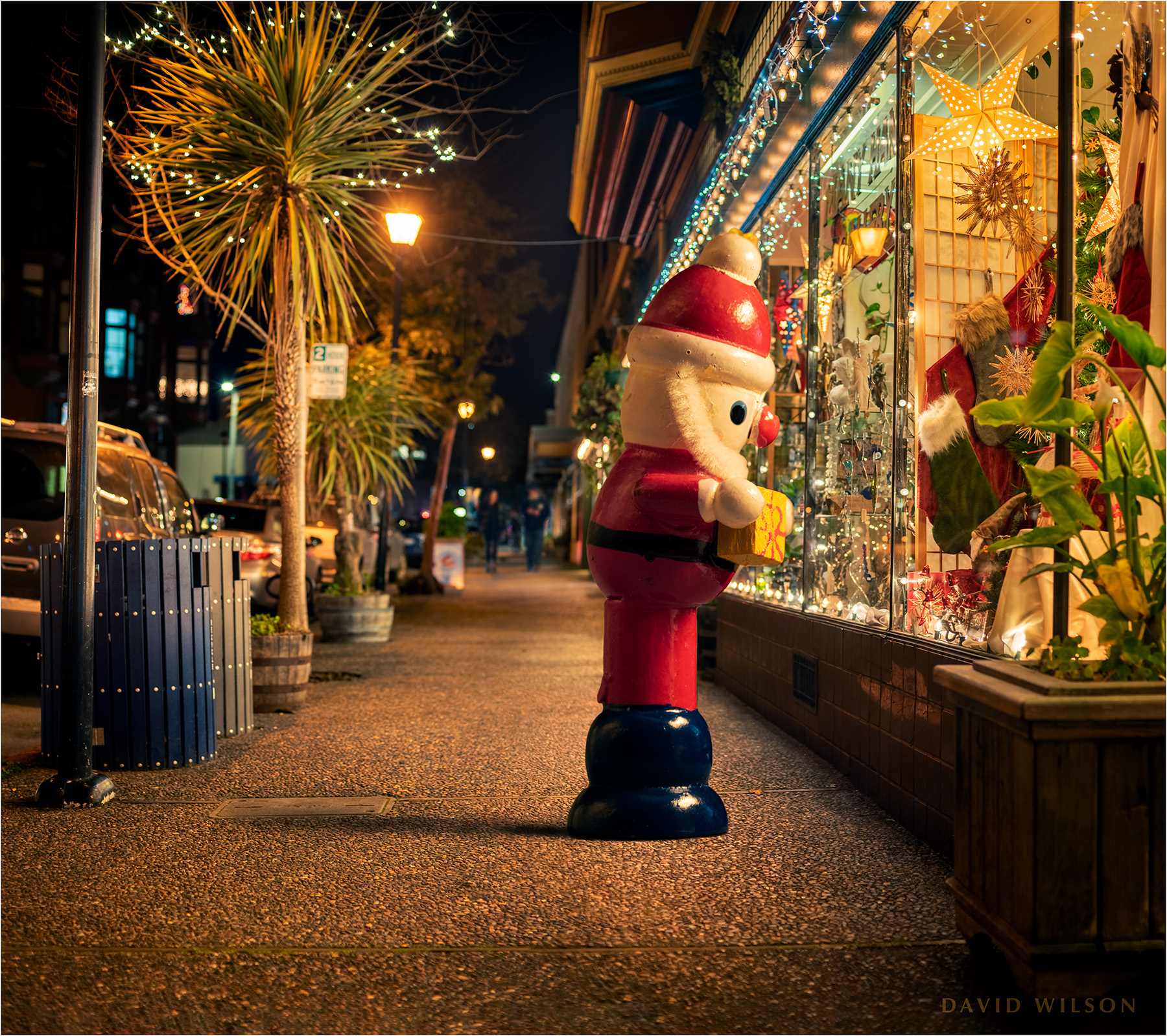 Night Light Of The North Coast Holiday Magic Redheaded Blackbelt