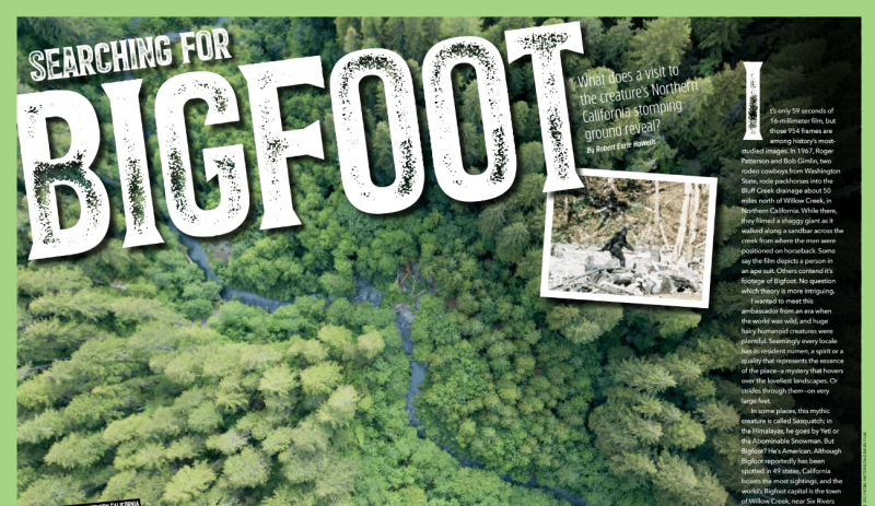 bigfoot unsolved wiki