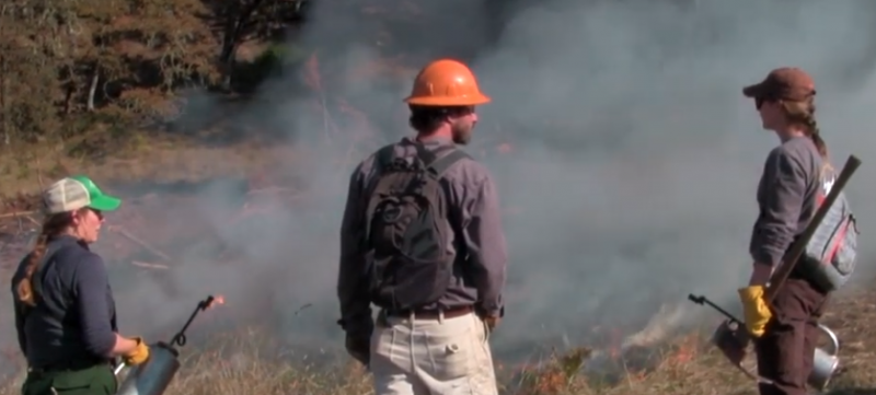 Humboldt County’s Prescribed Burn Association Won A CSAC Challenge ...