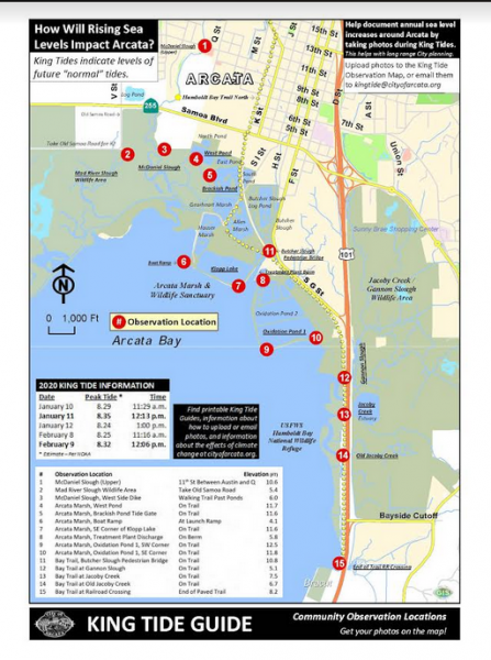 Watch for the King Tides This Weekend: Have Fun but Be Careful ...