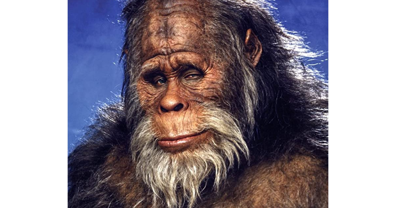 So, Why Do People Believe In Bigfoot Anyway? - Cal Alumni Association