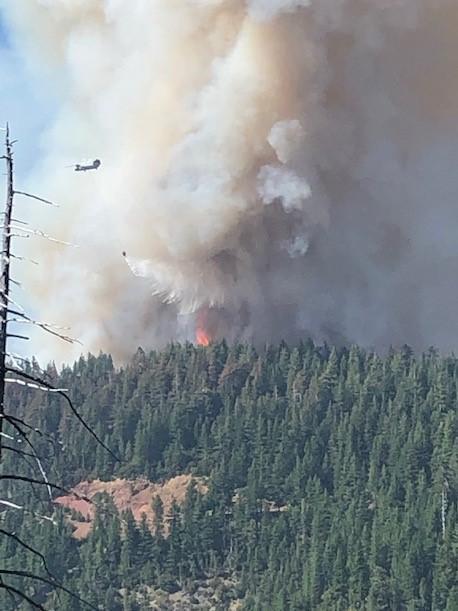 The Red Salmon Complex Now 10,178 acres and 35% Contained - Redheaded ...