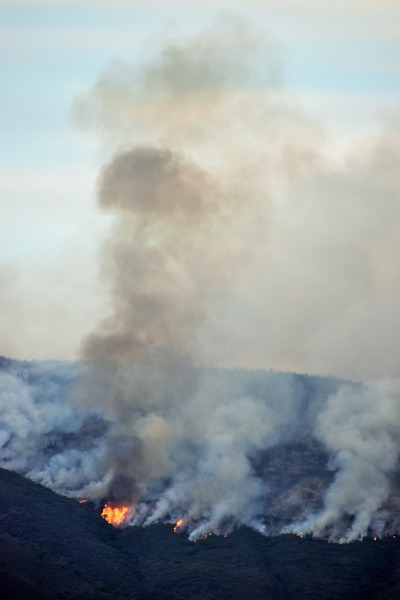 Doe Fire in Mendocino National Forest Over 500 Acres; Other Fires Still ...