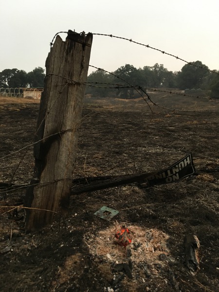 Spots of fire still continued to burn after Jenn Procacci returned to her land.