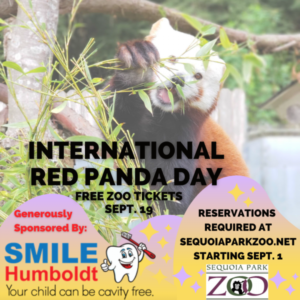 Free Zoo Admission September 19: International Red Panda Day ...