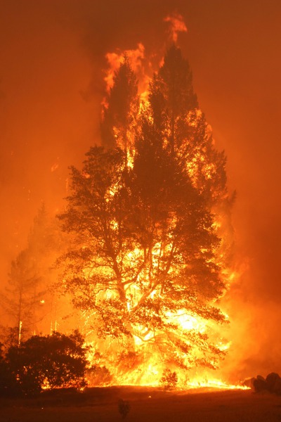 Red and black fire during night time photo – Free Lüneburger heide