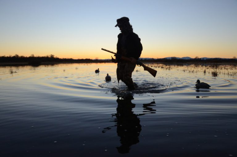 CDFW Implements Wildlife Area and Refuge Check Station Safety ...