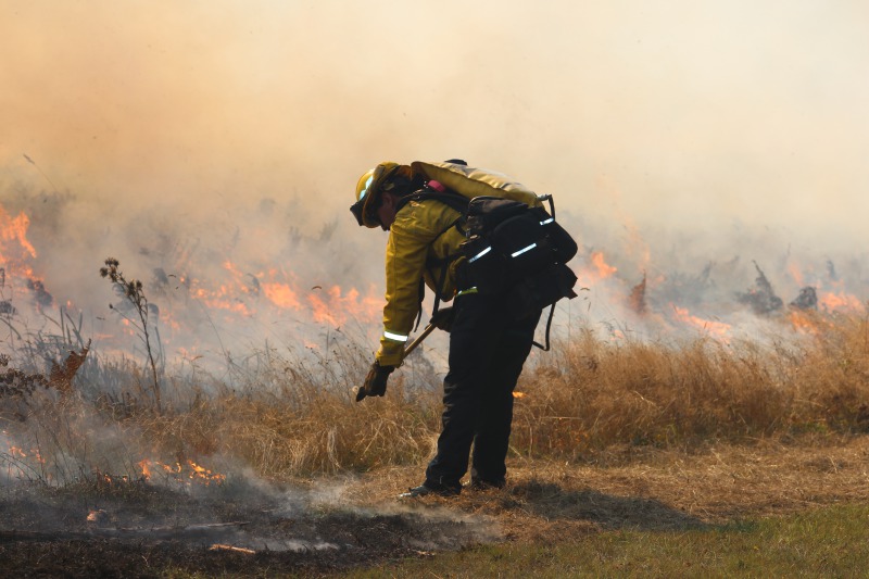 Cal Fire Assists California State Parks With Prescribed Fire