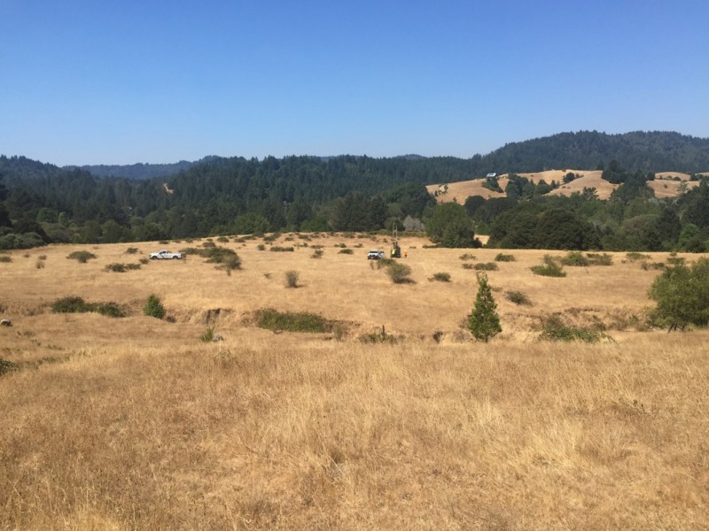 Overview and Status Report: Salmonid Restoration Federation Redwood Creek Flow Enhancement Planning Efforts Focus on the Marshall Ranch in the South Fork Eel River - Redheaded Blackbelt