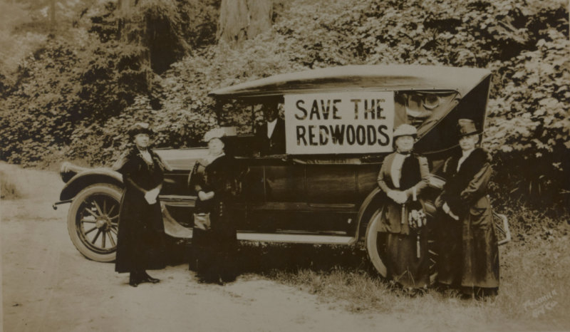 A historical look at Sonoma County women's organizations, 1900 and