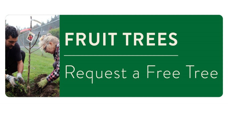 Free fruit Tree Cooperation Humboldt