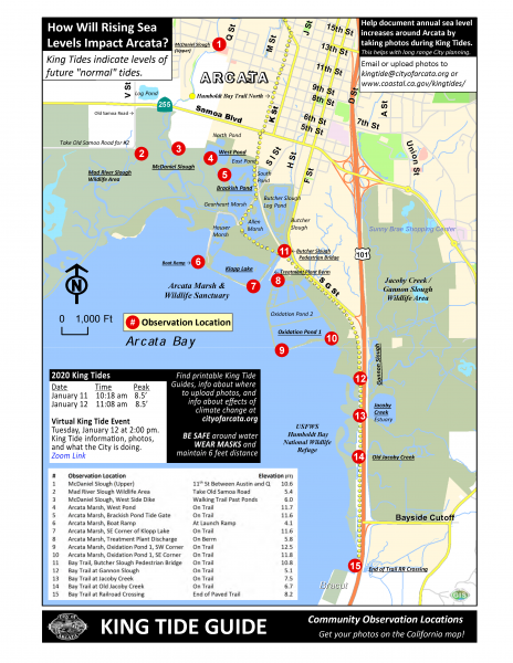 help-document-the-king-tides-and-join-the-city-for-a-king-tide-and-sea