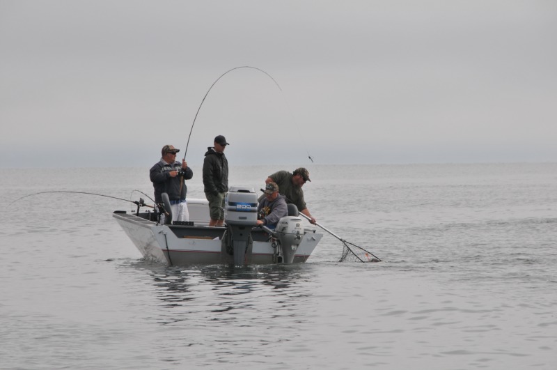 Freshwater Sportfishing Regulations Updated, Says CDFW Redheaded