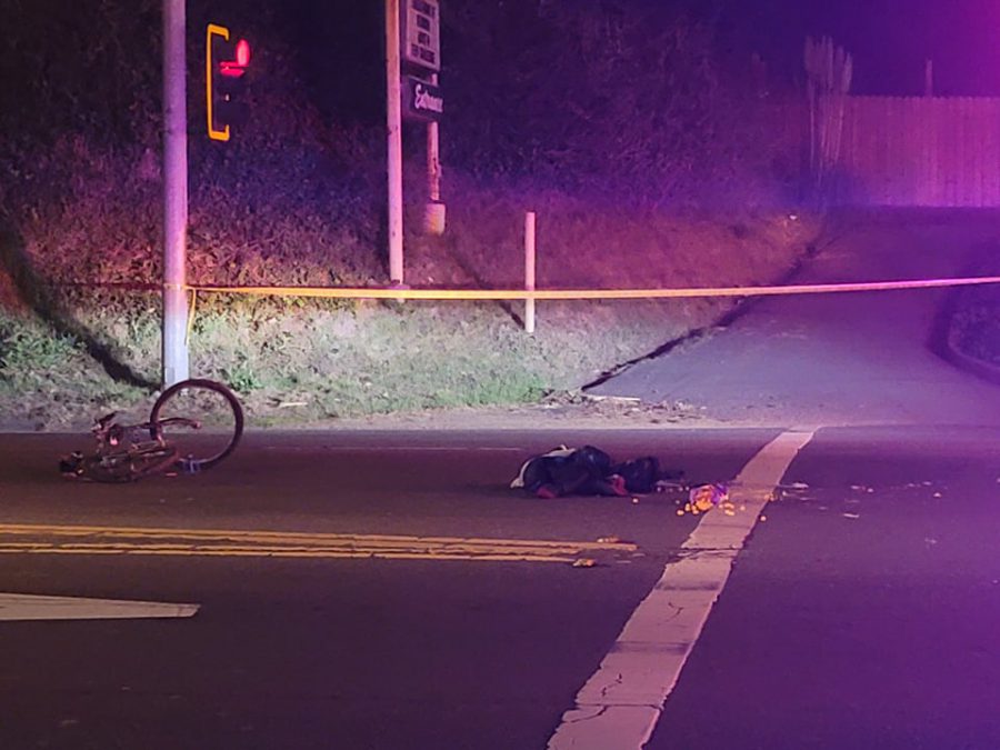 Bicyclist Killed In Collision With Semi - Redheaded Blackbelt