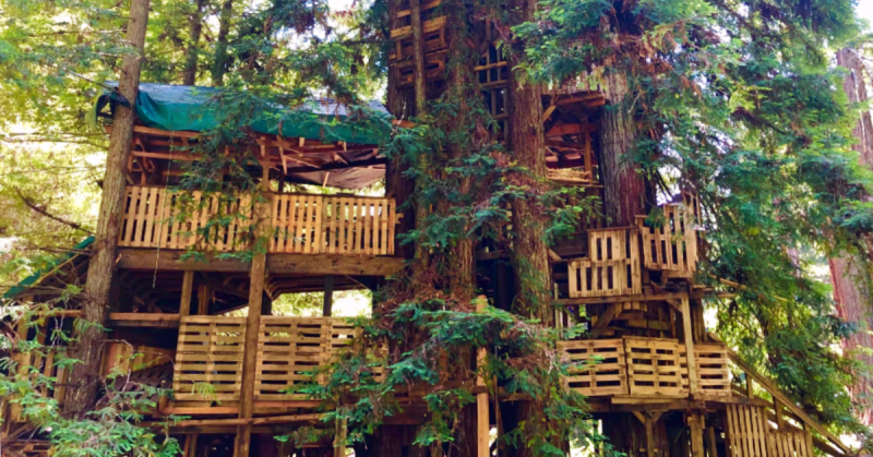 A Mendocino County Treehouse Is a Storybook Creation - Redheaded Blackbelt