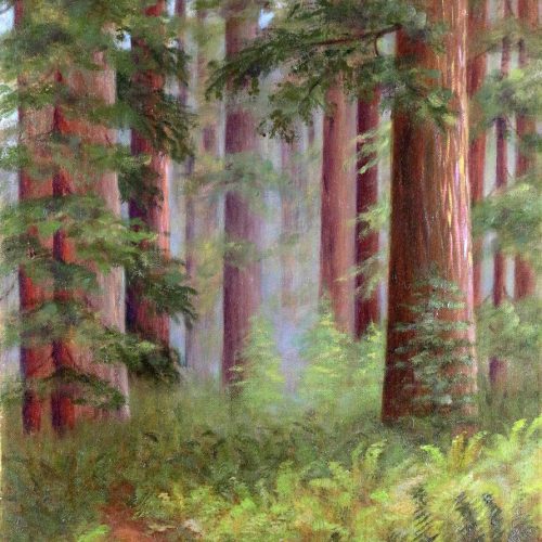 Laura P Mahan Redwoods Painting.jpg