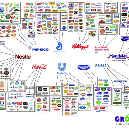 Behind-the-brands-illusion-of-choice-graphic-2048x1351_1220x763.jpg