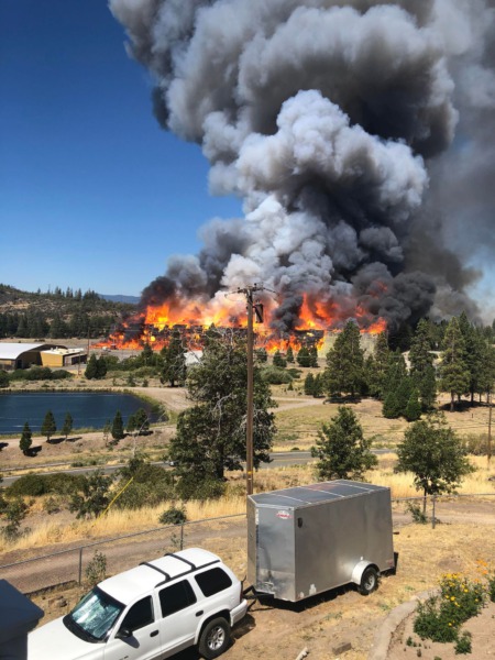 Platina Fire grows to 250 acres southwest of Redding