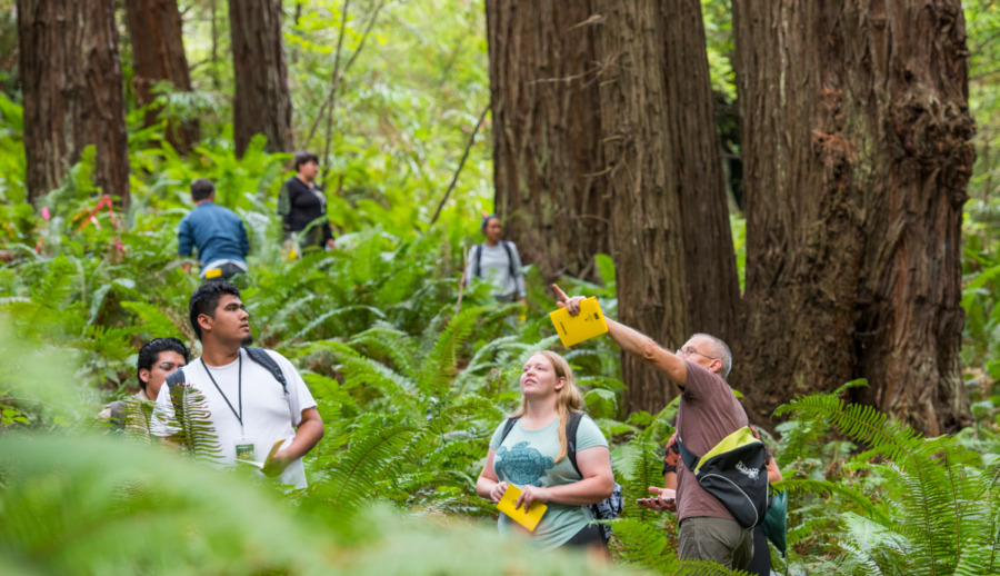 Cal Poly Humboldt and Volunteer Leaders Unveil ‘Boldly Rising,’ an