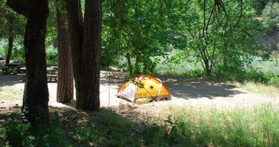 are dogs allowed at klamath national forest