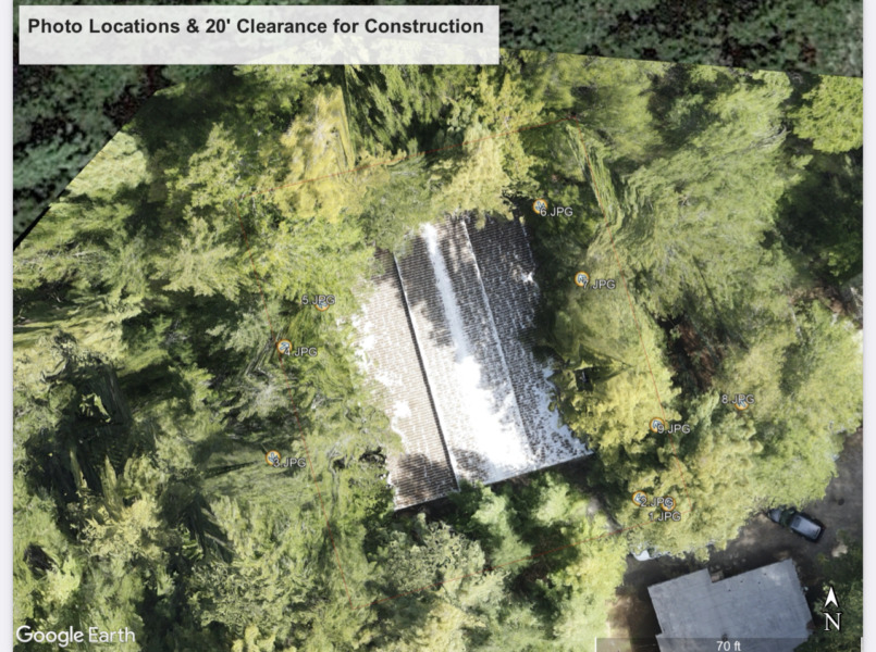 Aerial drone image by engineer David Nicoletti displaying the approximately seventy trees that would have to be removed in order to facilitate the demolition of the shop next to the Thomases home