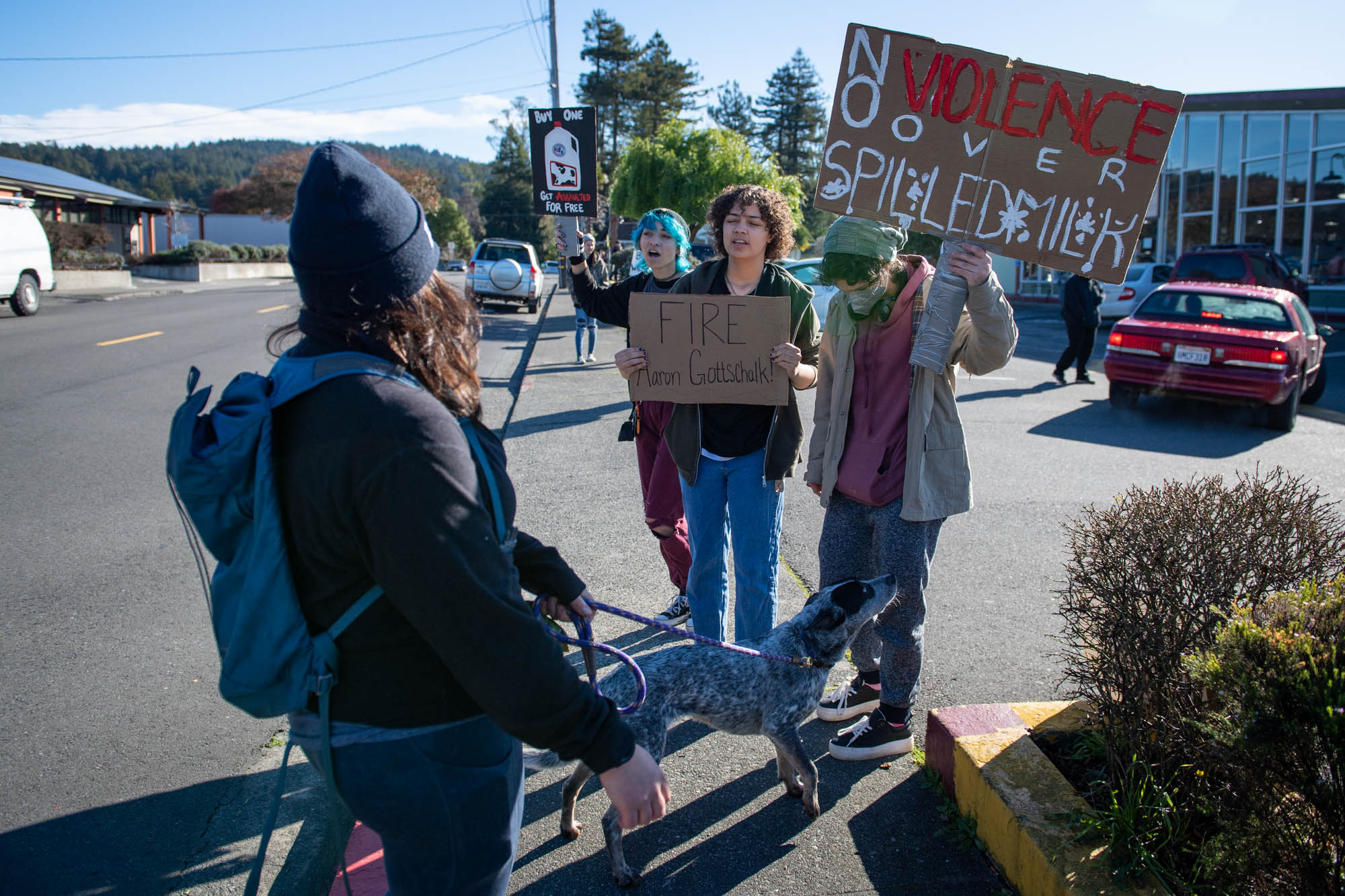 Natural retailer Wildberries Marketplace a spirited, communal