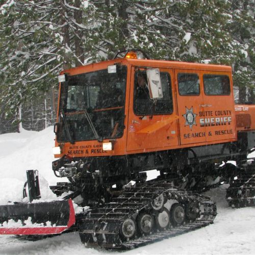 SNOWCAT_Large423442254324343.jpg