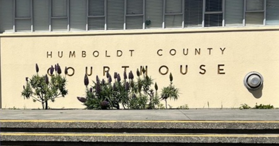 New CEO of Humboldt County Superior Court Appointed Redheaded Blackbelt