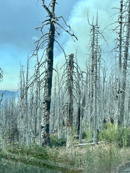 Firefighters Work Towards Complete Containment of the South Fork ...