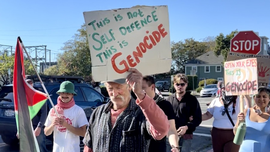 Rally for Ceasefire in Gaza on Veterans Day Draws Largest Crowd Yet -  Redheaded Blackbelt