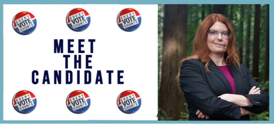 Meet the Superior Court Judge Candidate: April Van Dyke - Redheaded ...