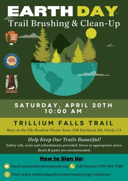 Celebrate Earth Day at the Trillium Falls Trail in Orick - Redheaded ...