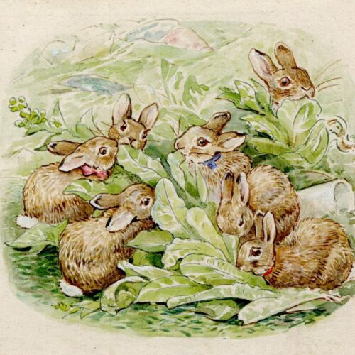 Page_23_The_Tale_of_th_Flopsy_Bunnies_Beatrix_Potter_British_Museum_0