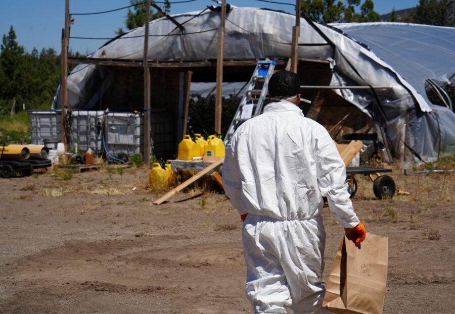 An investigator wearing protective gear collects evidence at a cannabis cultivation site. Authorities say enforcement actions often focus on unpermitted grows, environmental violations, and illegal water use. [Photo courtesy of Siskiyou County Sheriff's Office]
